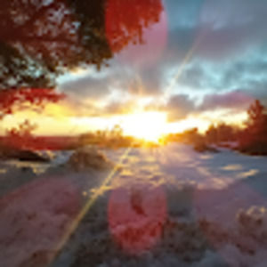 Meet your Posher, Sheena